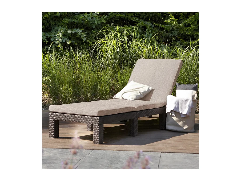 Chaise longue avec coussin Daytona Marron