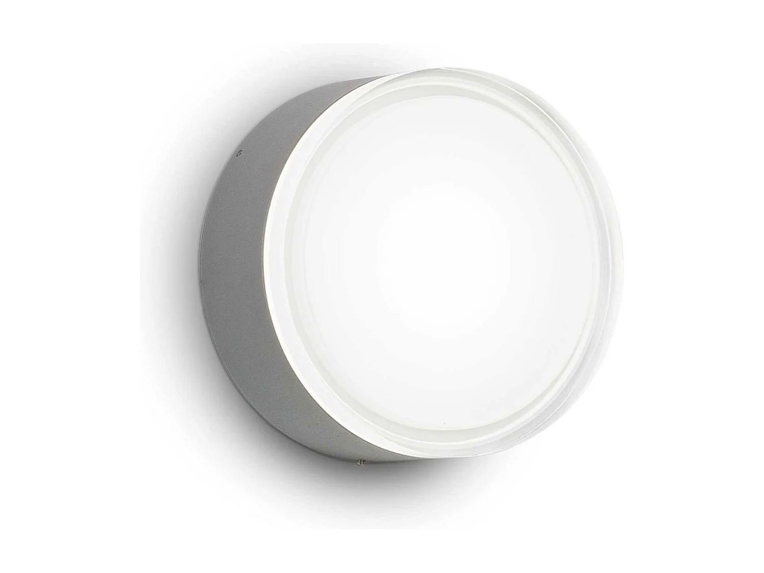 Plafond-/wandlamp in antraciet aluminium met diffuser van acryl