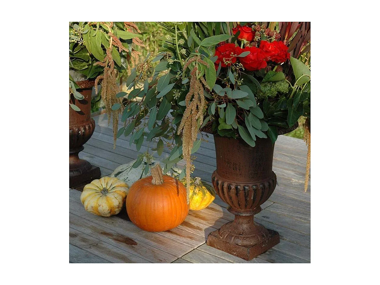 Vase Médicis en fonte (Lot de 2)