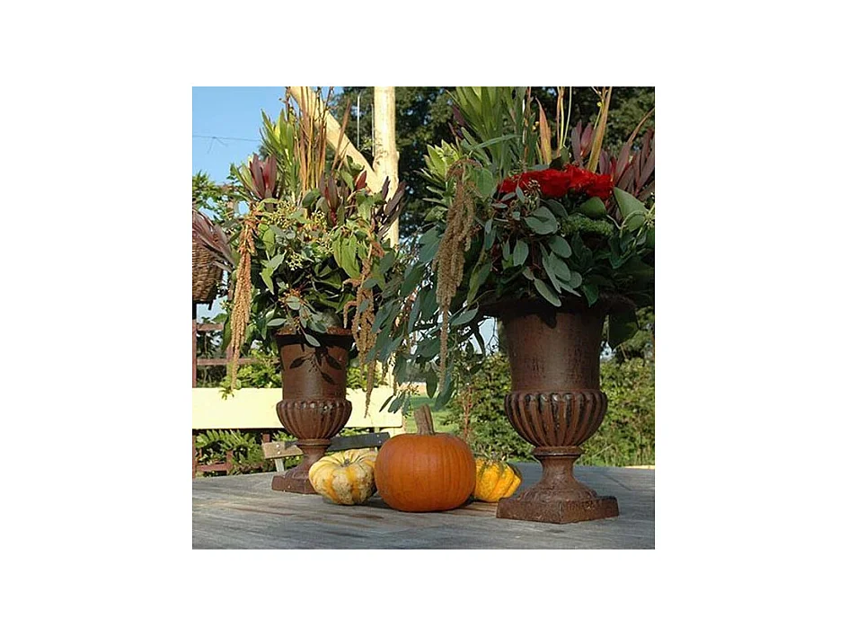 Vase Médicis en fonte (Lot de 2)
