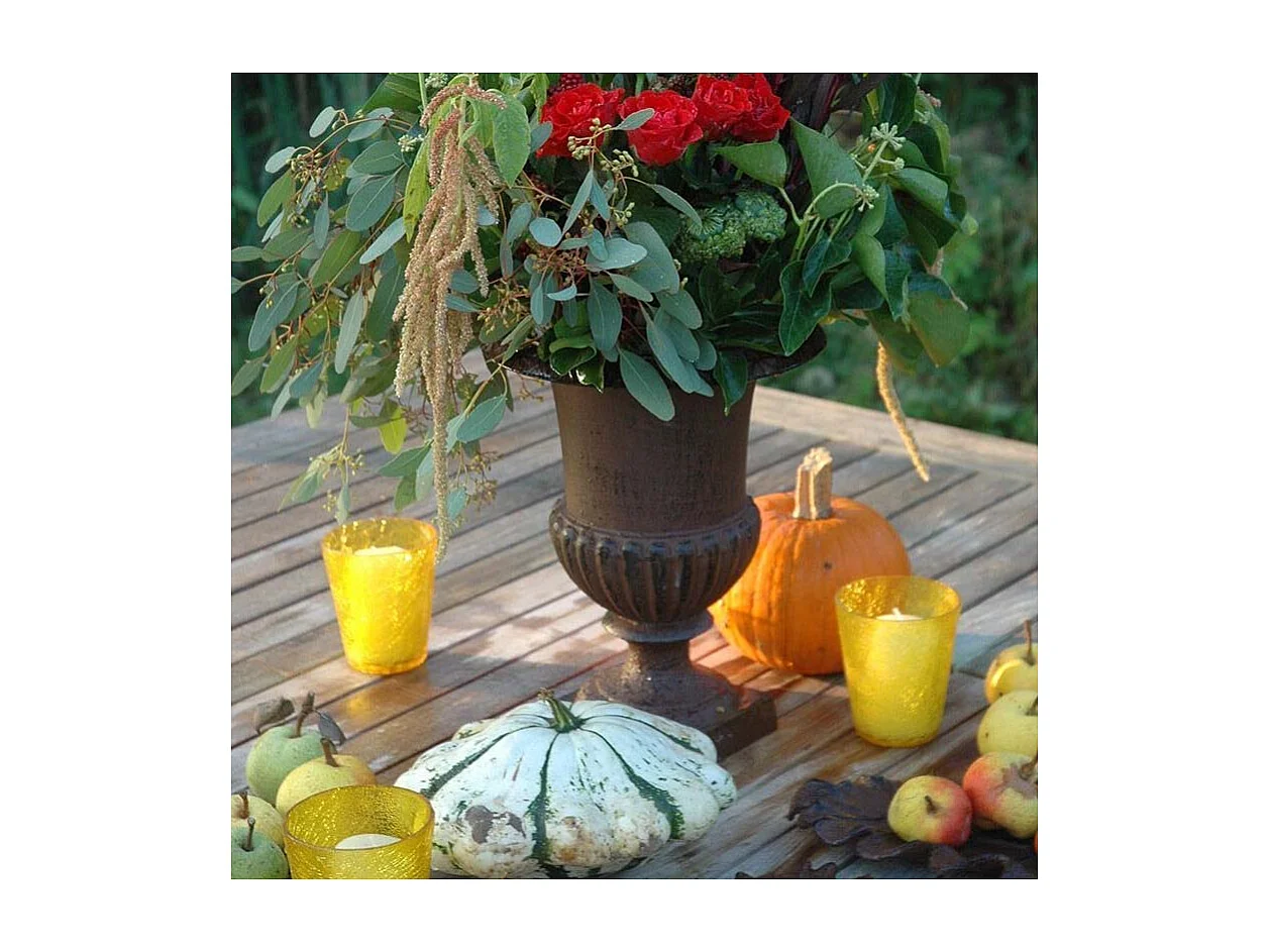 Vase Médicis en fonte (Lot de 2)