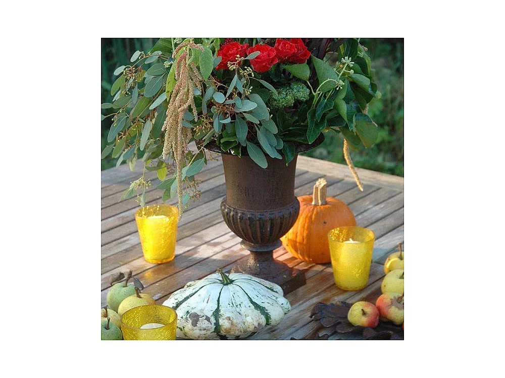 Vase Médicis en fonte 17 x 17 x 20 cm (Lot de 2)