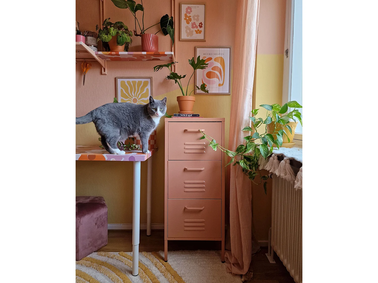Meuble de rangement WOSTOK Métal Rose pêche