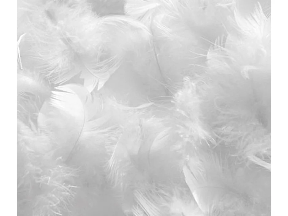 Zeer warm dekbed van natuurlijk donskatoen 200x200 cm - 350g