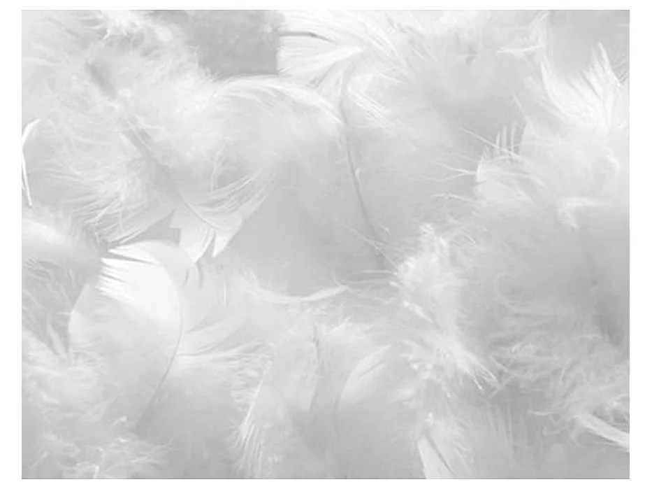Oreiller pour hôtel 5 étoiles 45x70 percale blanc Palace - Lot de 2