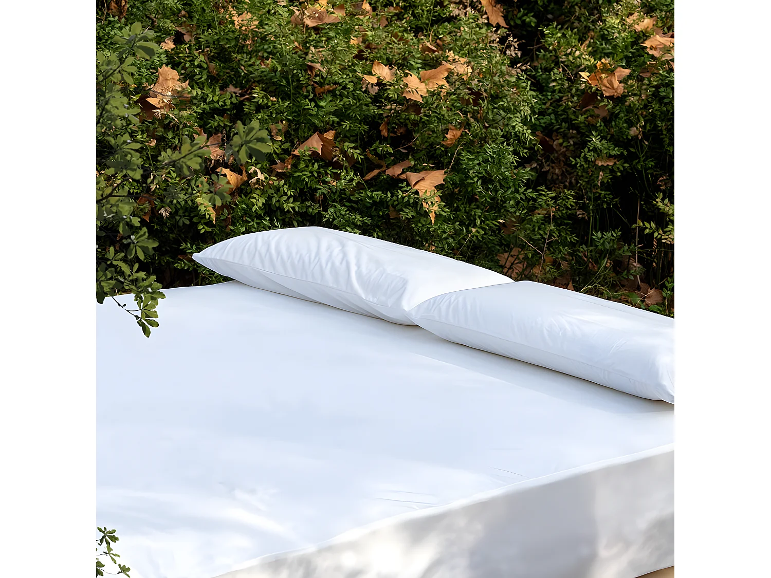 BELLECOUR LITERIE | Alèse B-SENSIBLE Blanc 160x200 cm | Impermeable & Anti-acariens
