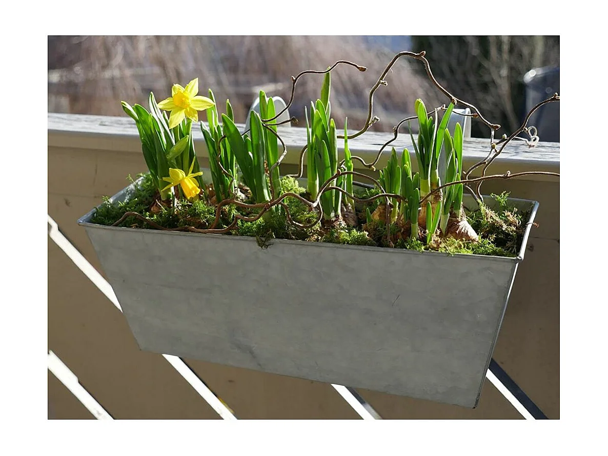 Jardinière balcon en zinc à suspendre (Lot de 2)