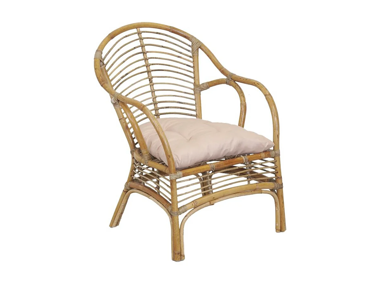 Fauteuil en rotin marron + coussin