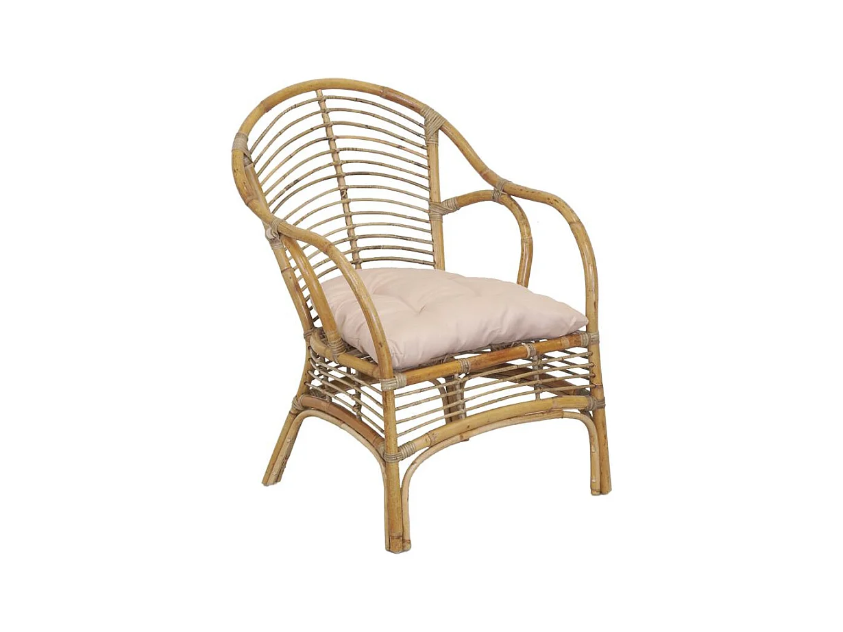 Fauteuil en rotin marron + coussin