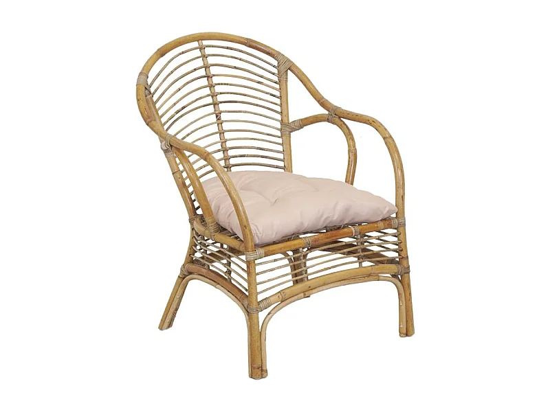 Fauteuil en rotin marron + coussin