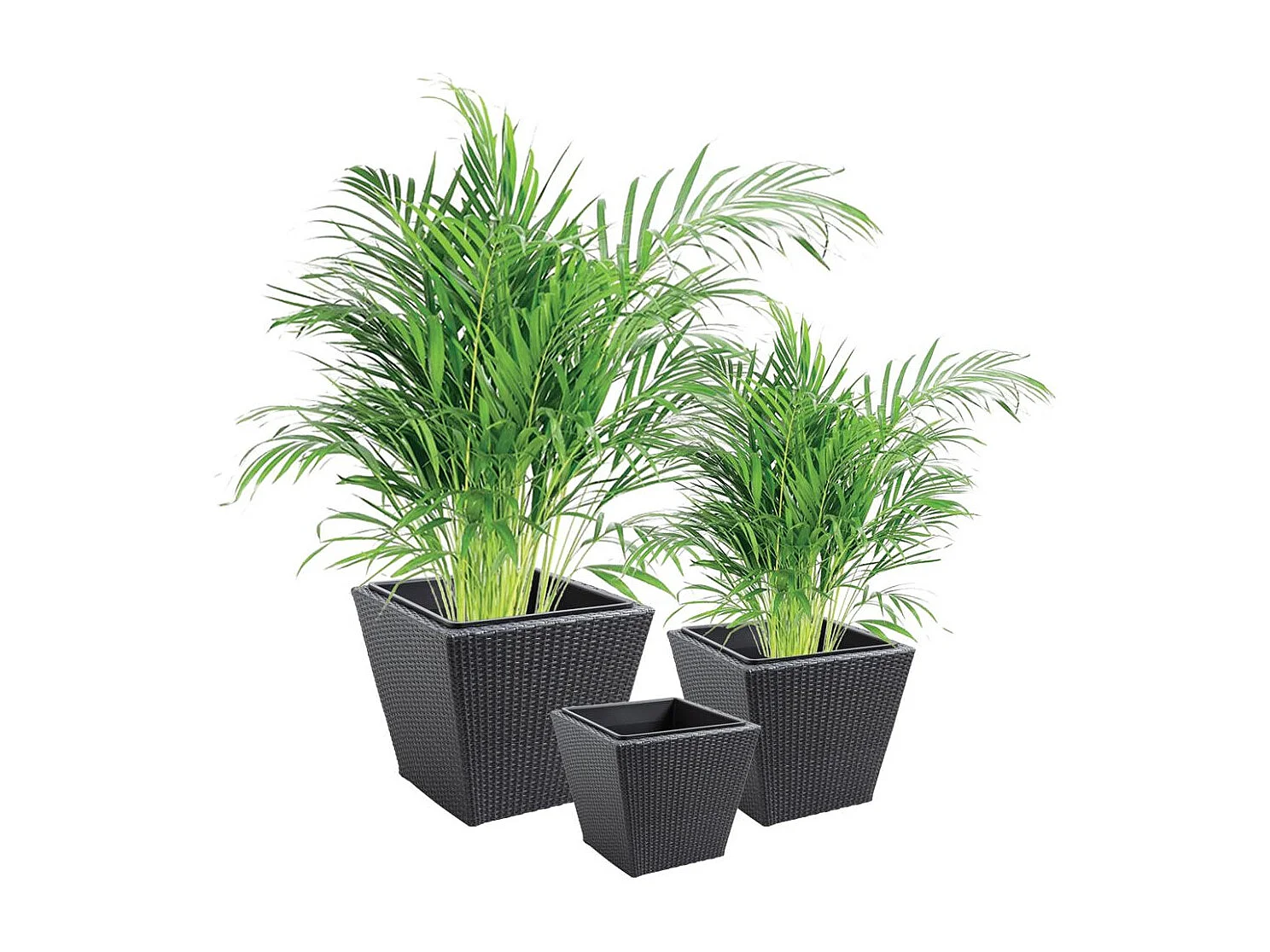 Cache-pots en résine tressée (lot de 3) Carré