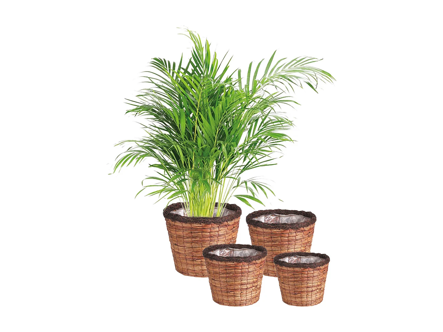 Cache-pots ronds en jacinthe (lot de 4)