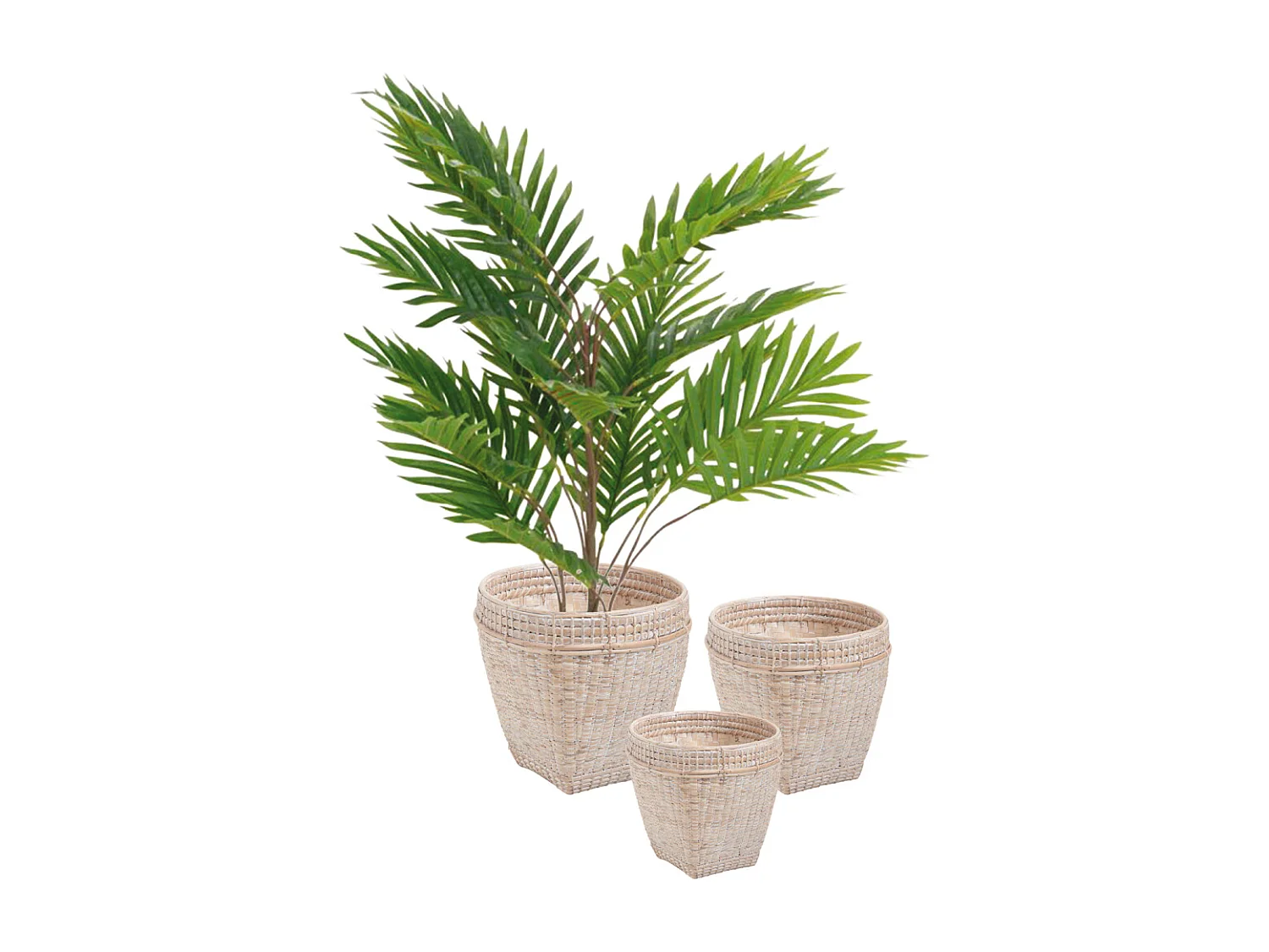 Cache-pots en bambou