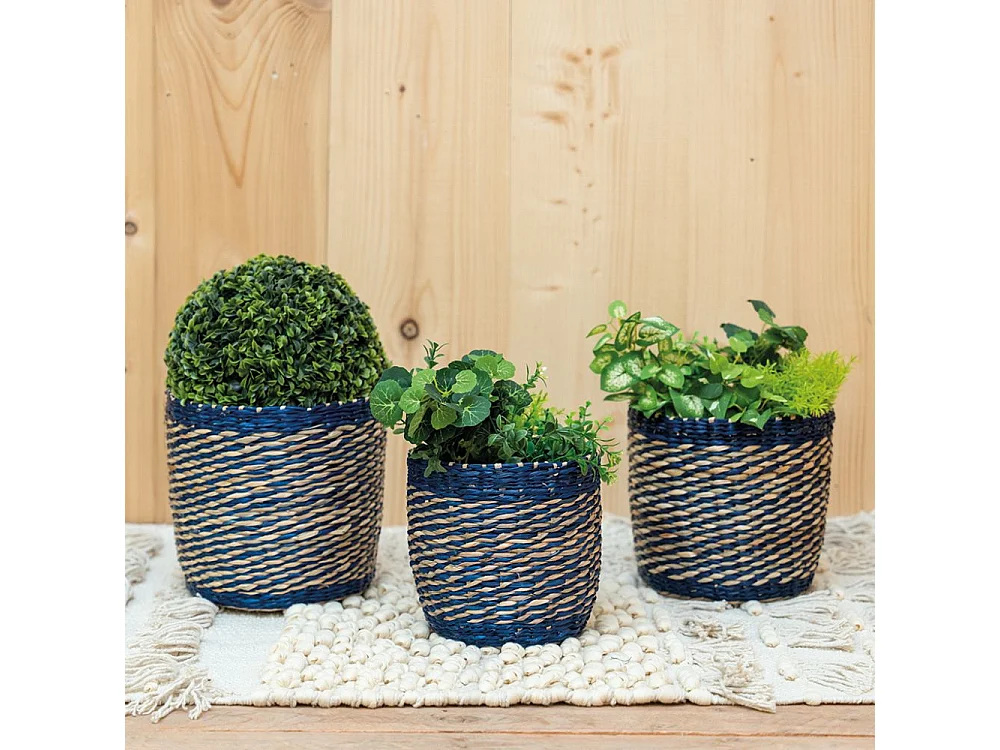 Cache-pots en jonc naturel et bleu (lot de 3)