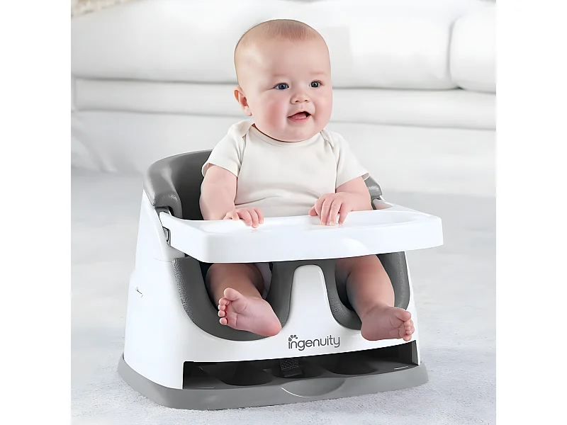 Ingenuity 2-in-1 Babysity Schiefergrau