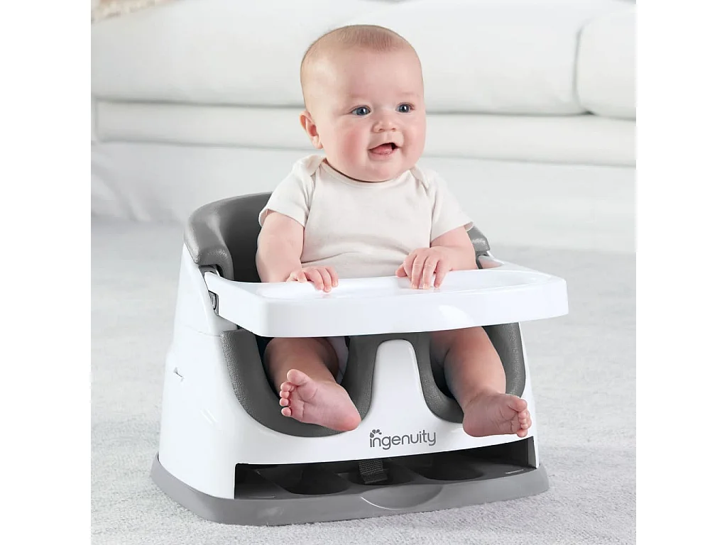 Ingenuity 2-in-1 Babysity Schiefergrau