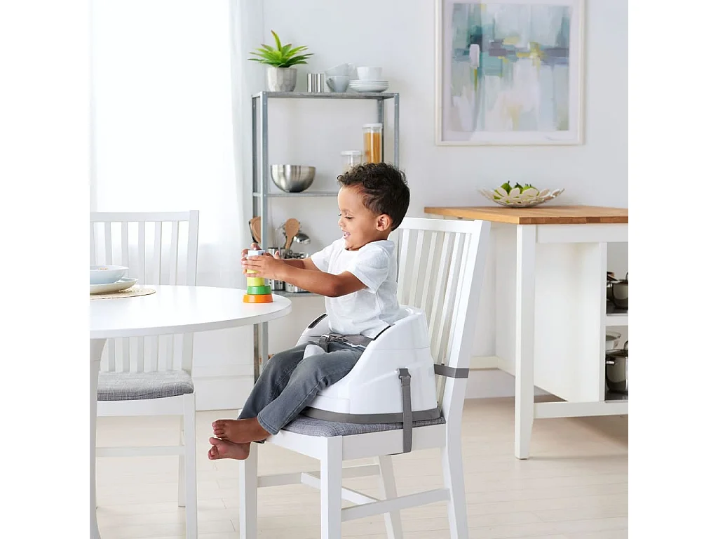 Ingenuity 2-in-1 Babysity Schiefergrau