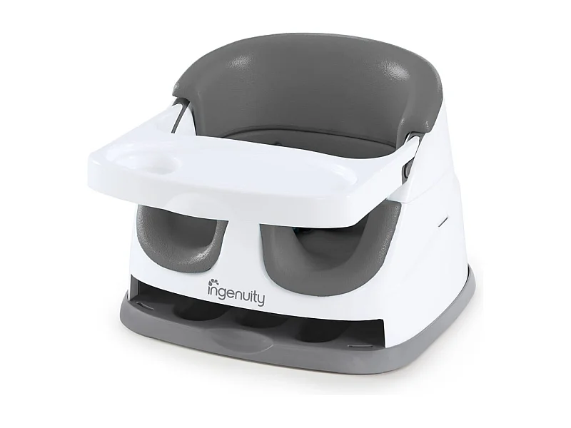 Ingenuity 2-in-1 Babysity Schiefergrau