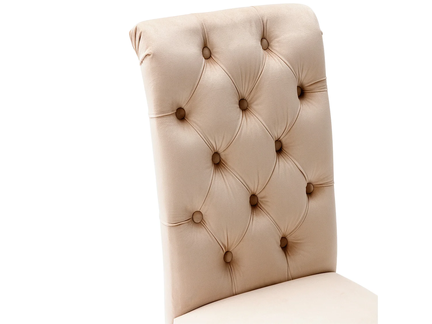 Set di 2 sedie - velluto - gambe in rovere - beige