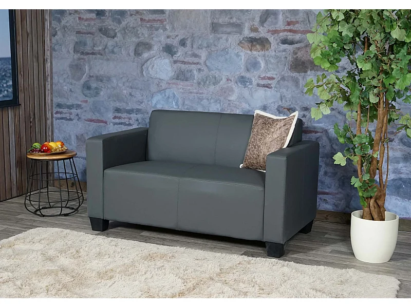 Sofa 2-osobowa Moncalieri imitacja skóry,  ciemnoszary