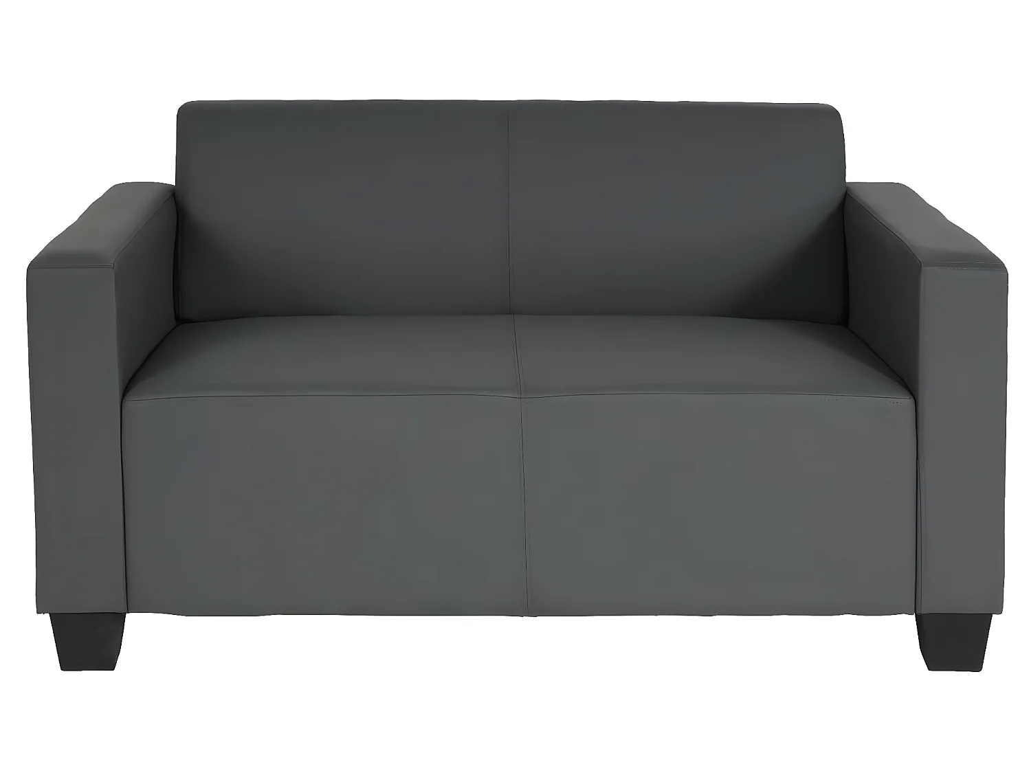 2er Sofa Moncalieri Kunstleder, Dunkelgrau