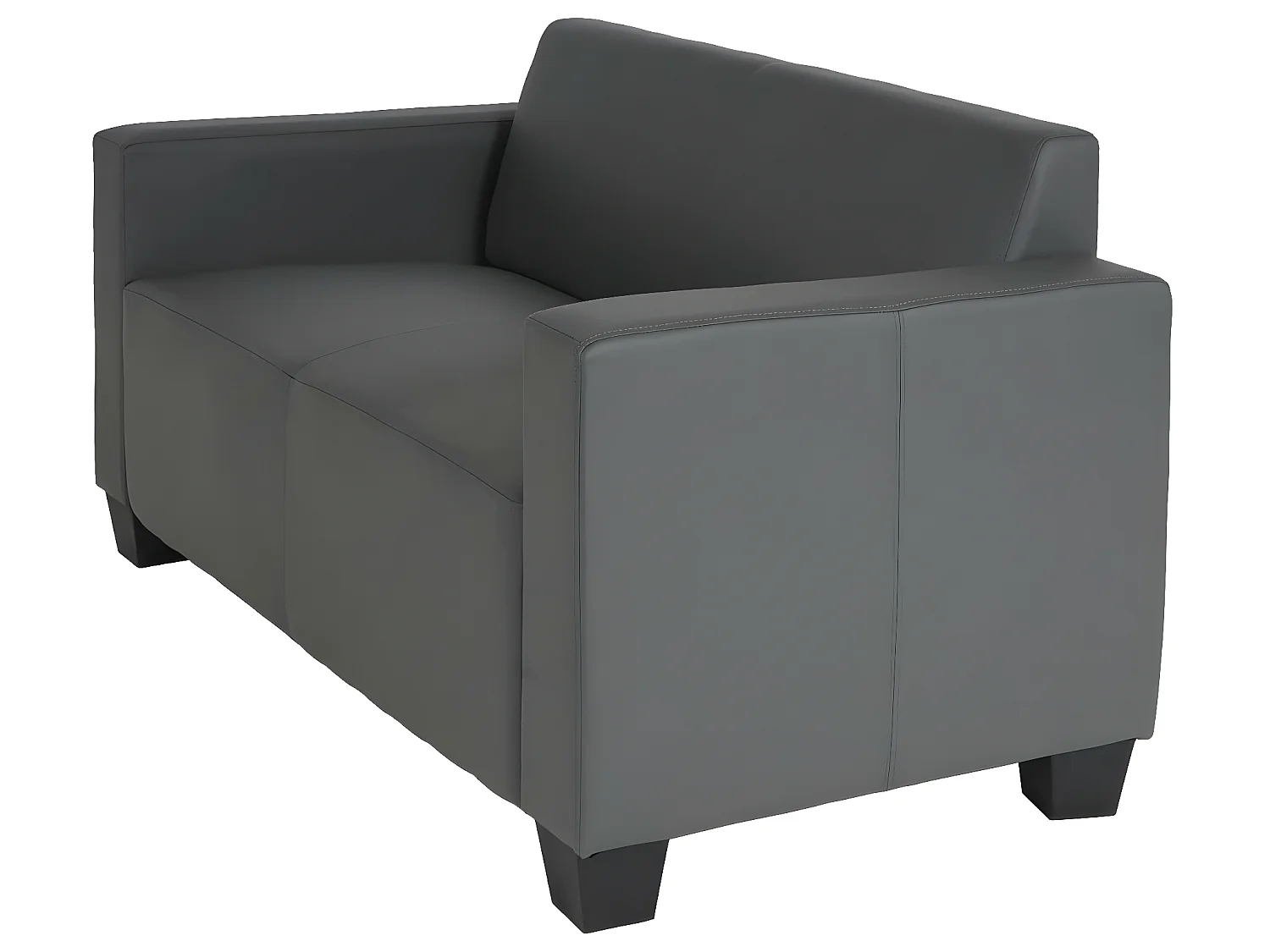 2er Sofa Moncalieri Kunstleder, Dunkelgrau