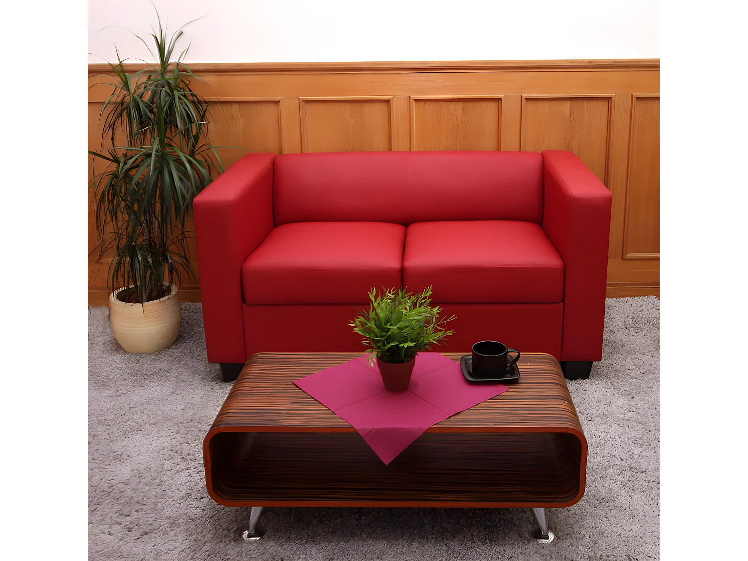 Divano sofa 2 posti lounge moderno elegante serie Lille M65 75x137x70cm pelle rosso