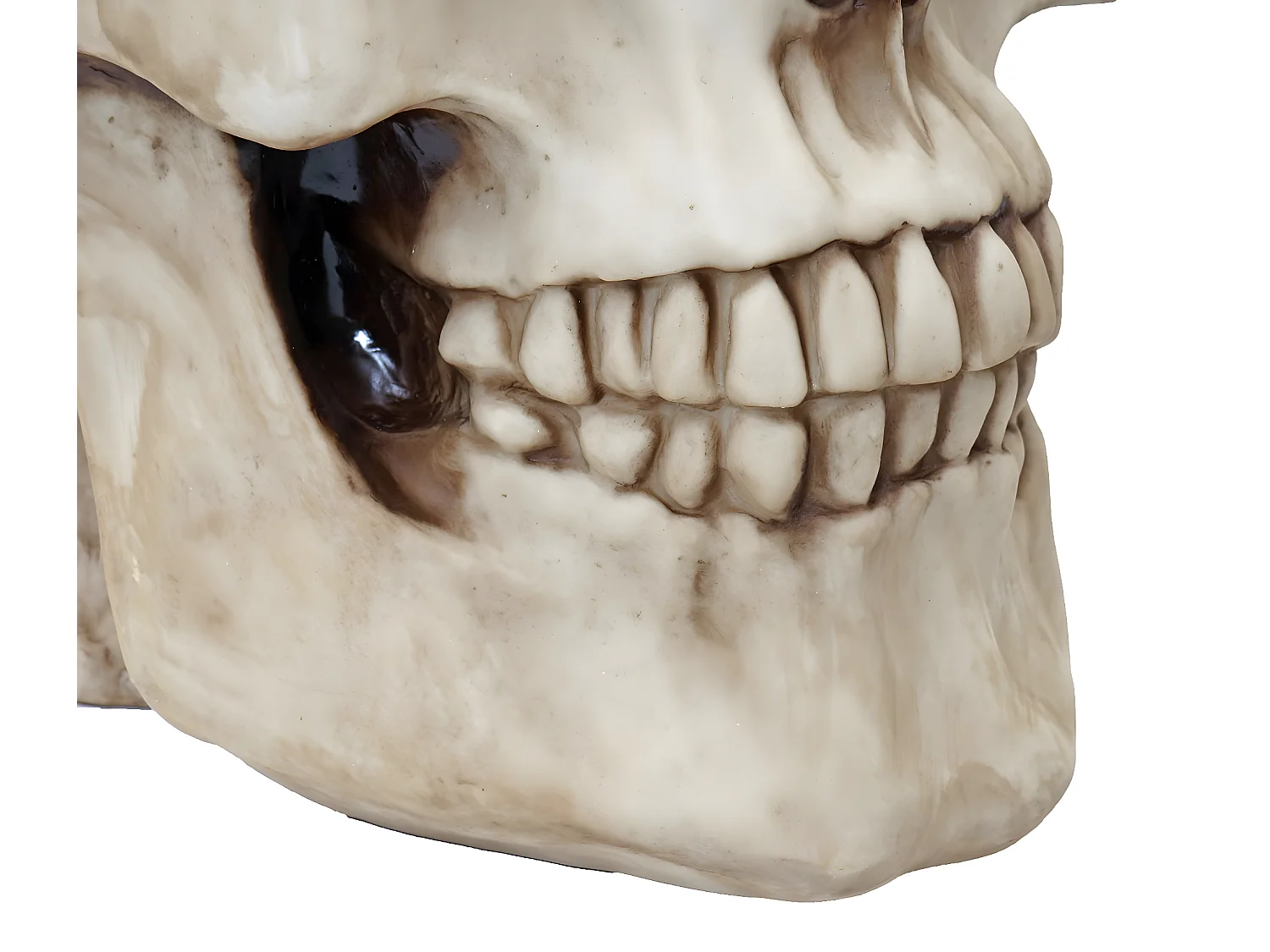 Stolik boczny czaszka MCW-A19