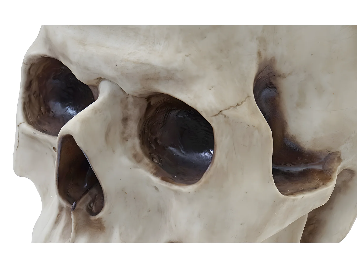 Stolik boczny czaszka MCW-A19