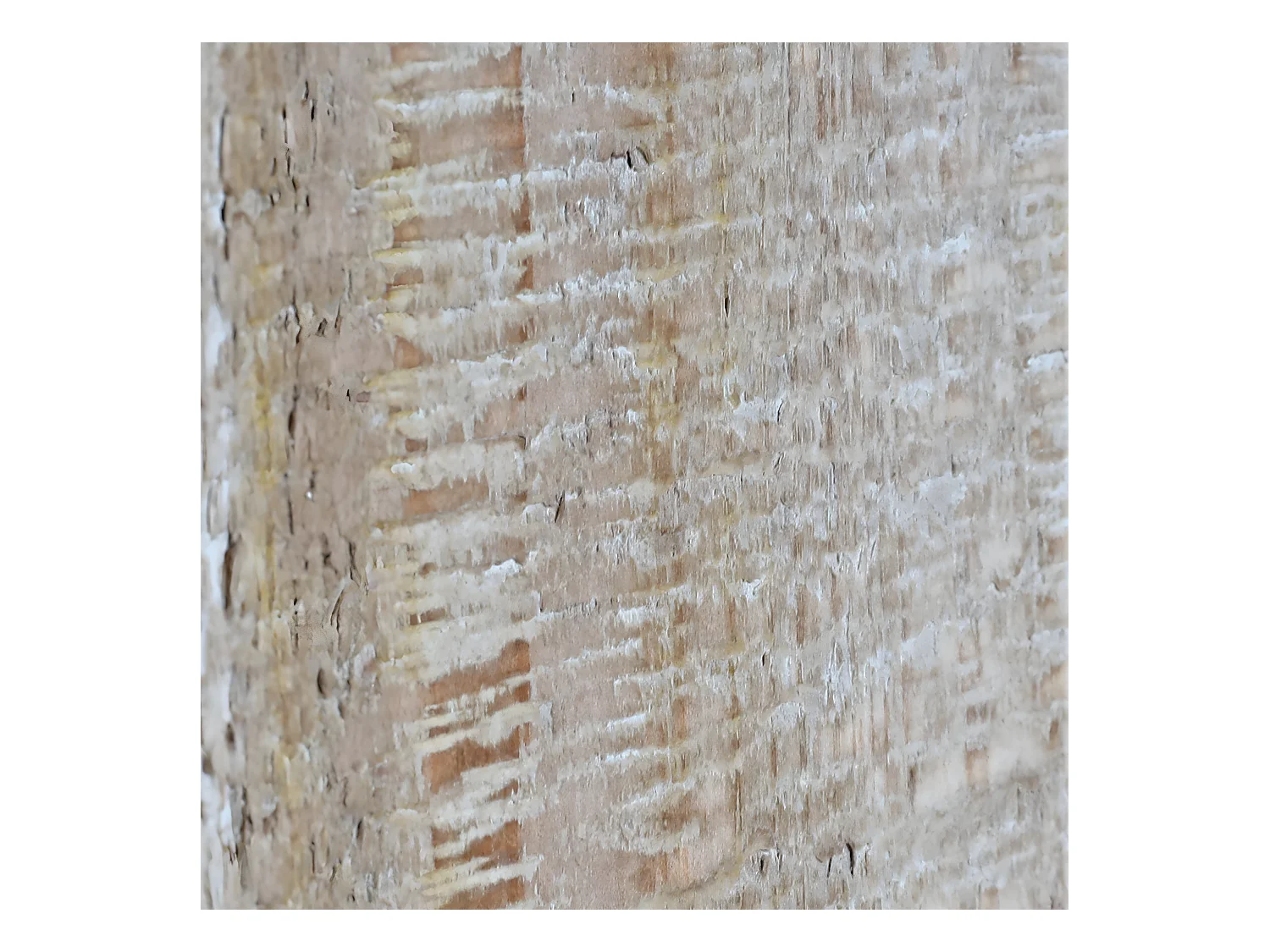 Stół do jadalni MCW-L76