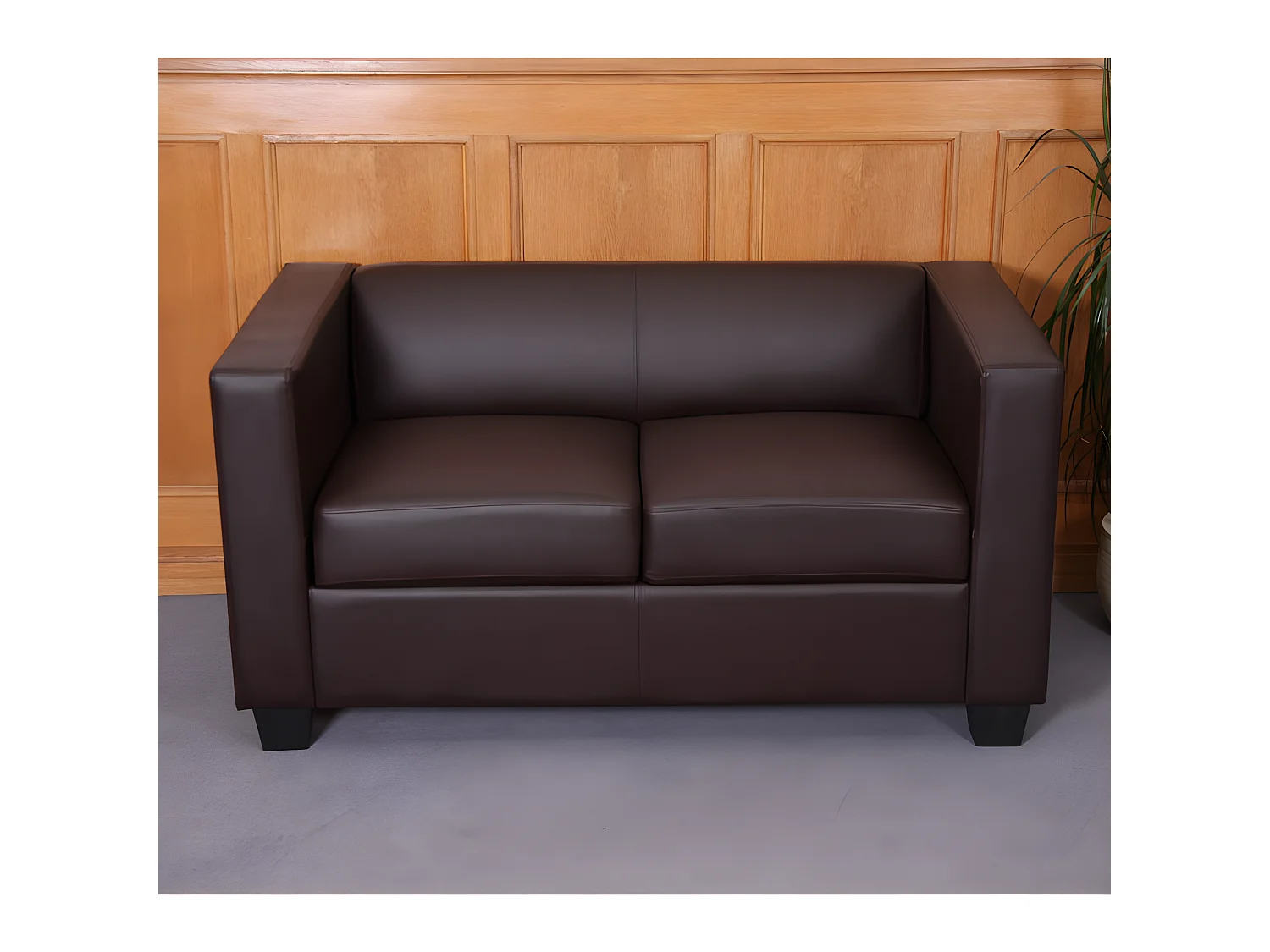 Divano sofa 2 posti lounge moderno elegante serie Lille M65 75x137x70cm ecopelle marrone