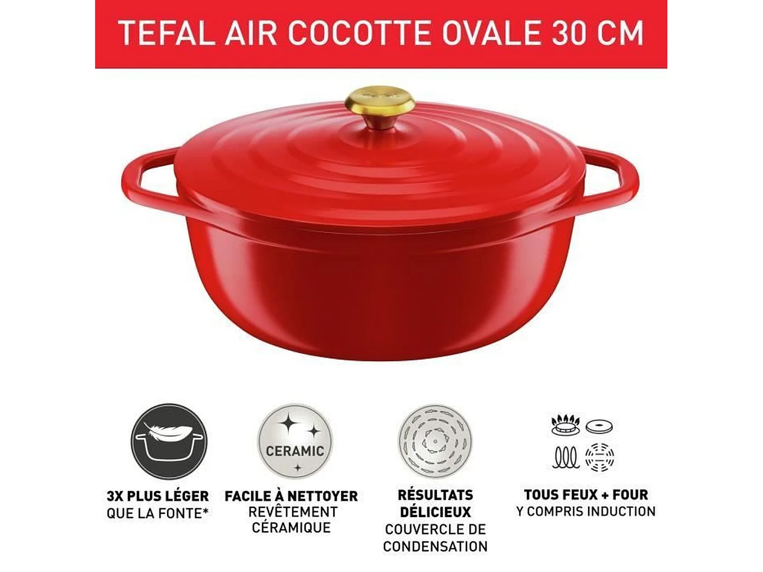 TEFAL E2548904 Air cocotte légere ovale 30x23 cm, fonte d'aluminium rouge, tous feux dont induction