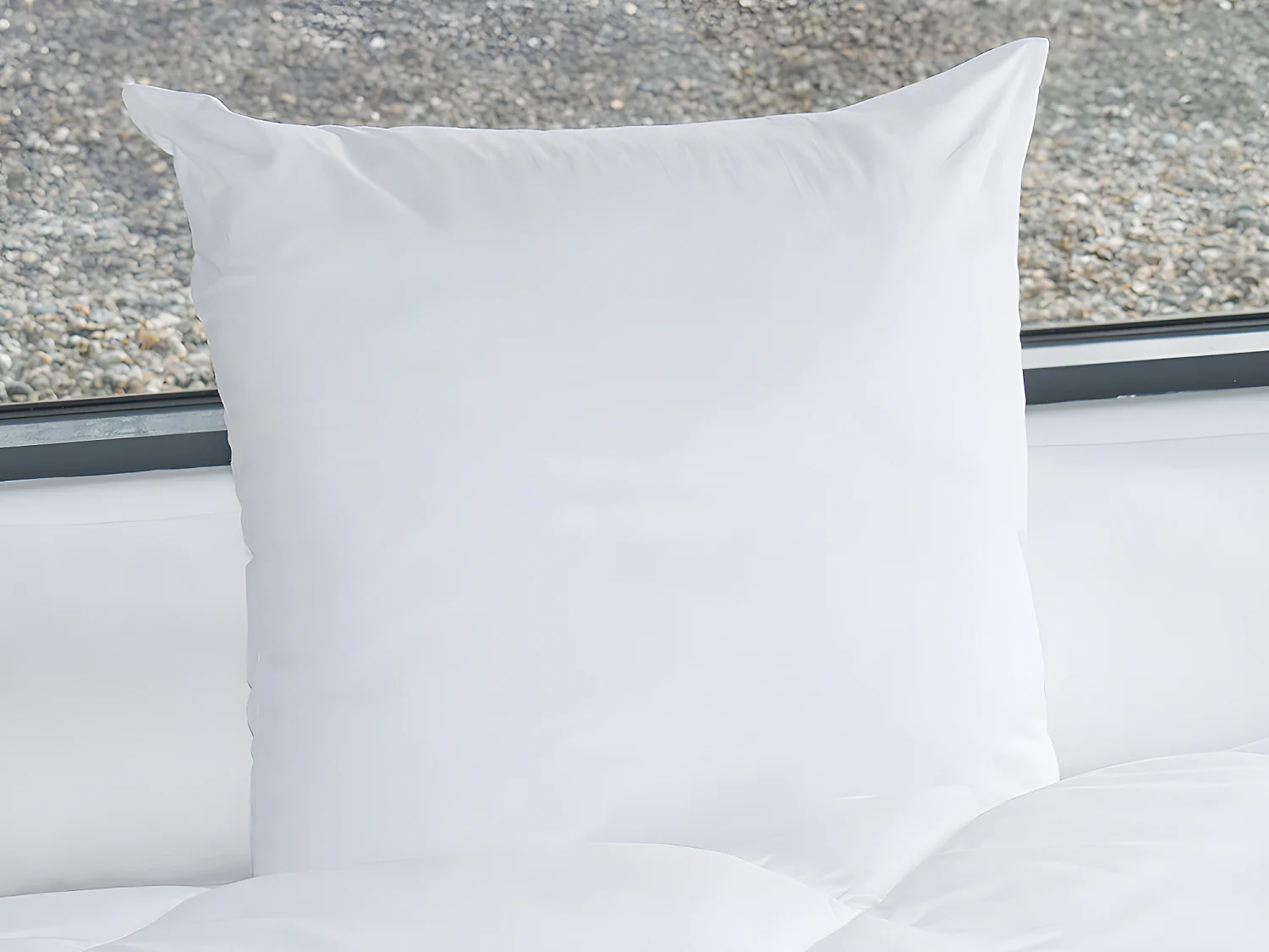 Kopfkissen aus Bio-Baumwolle von NATUREA - 60 x 60 cm - 550 g/m² - braune Abschlüsse - NATURE CONFORT