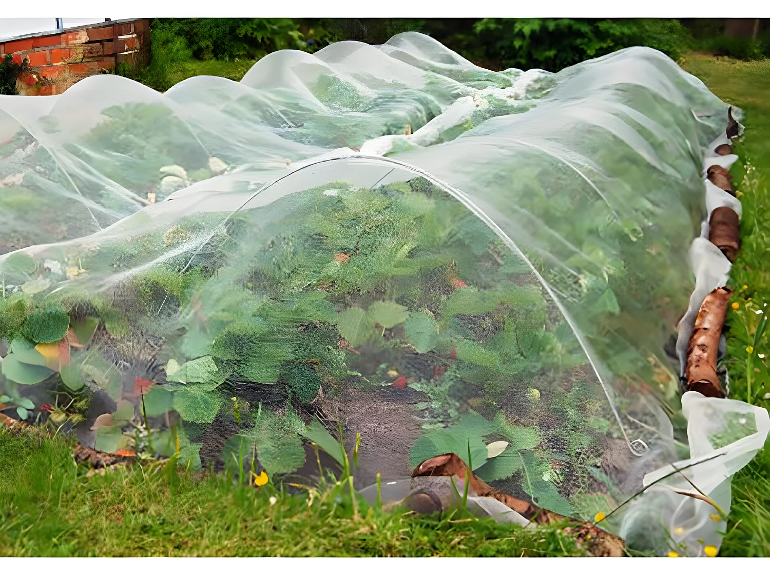 Filet De Protection Contre Les Insectes 3x15 M