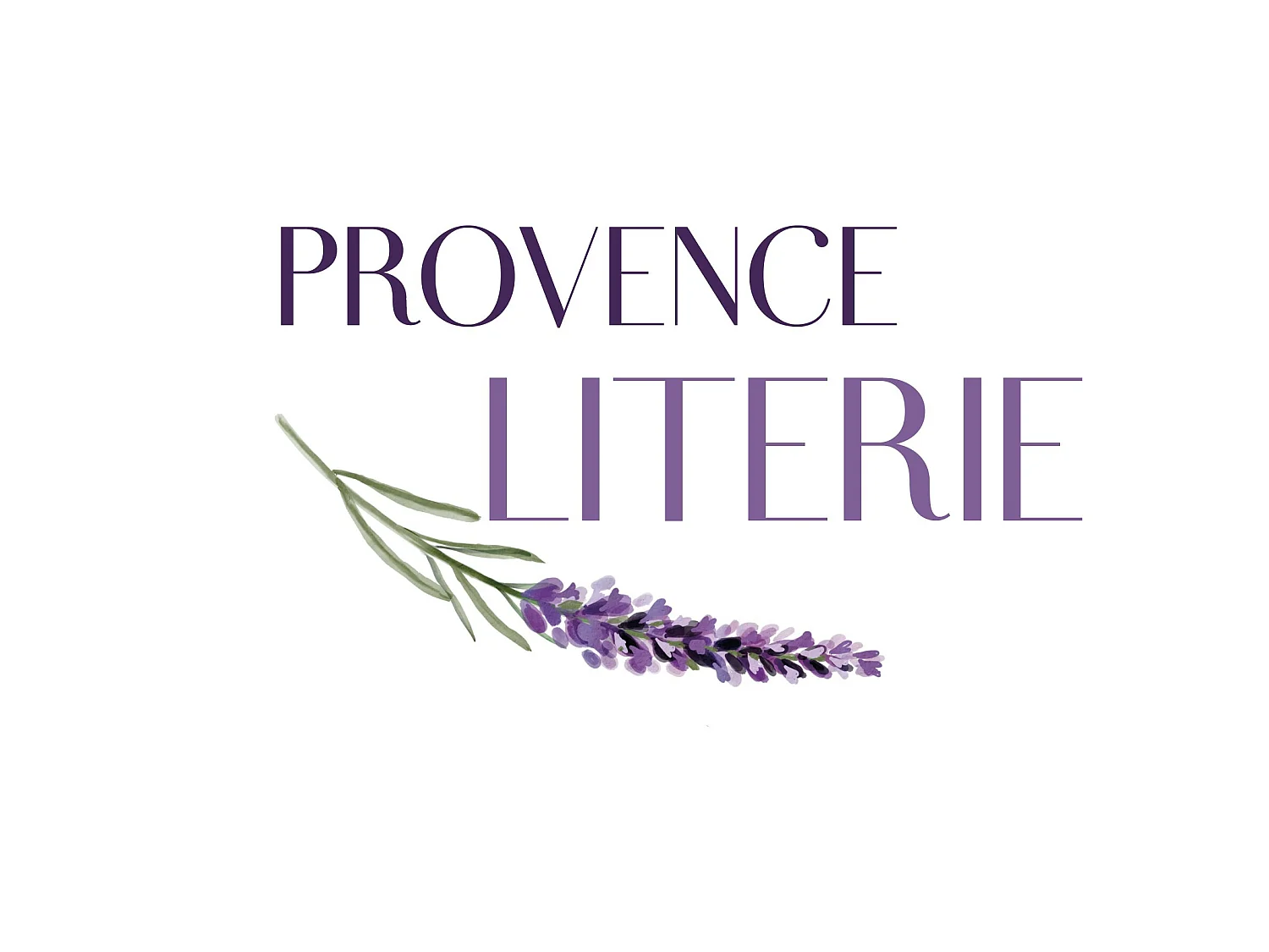 Matelas 80x190 cm Memoire de Forme 70 Kg/m3 - Hauteur 25,5 cm Tres Ferme + Oreiller Visco - 7 Zones de Confort - ame rem