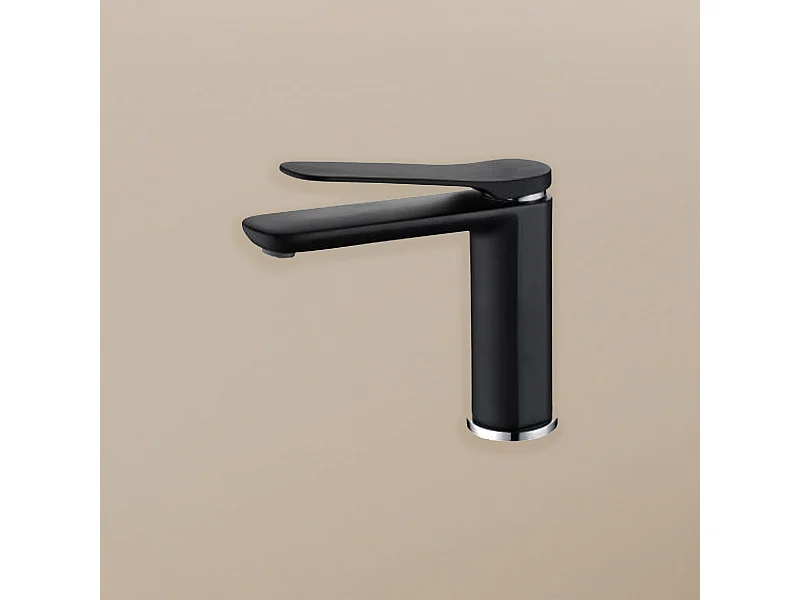 Robinet mitigeur de salle de bain noir mat