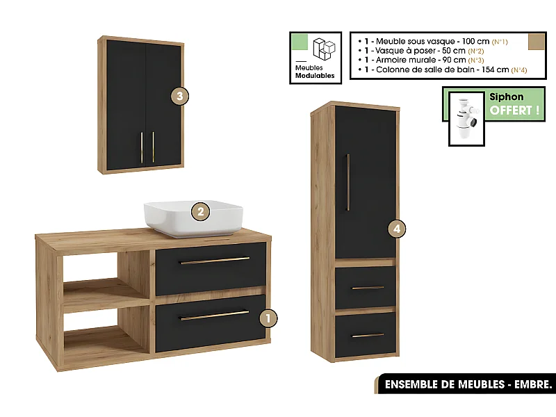 Ensemble complet - de salle de bain - Meuble - Armoire - Colonne - Vasque avec Siphon OFFERT | EMBRE | Noir | 100 x 50 x 45 cm