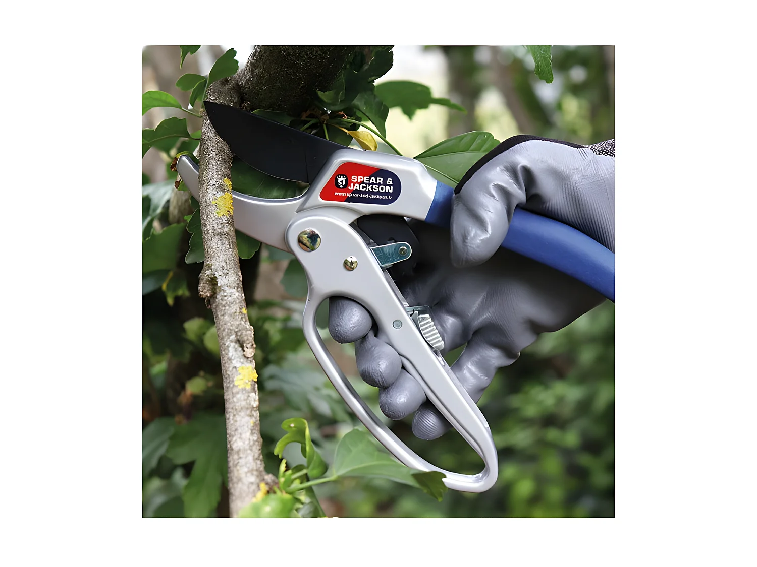 Snoeischaar met ratel 20cm Spear & Jackson - Wrijvende messen voor een nette en precieze snede tot 20mm diameter