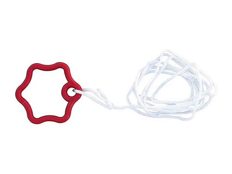 Robot pour piscine Red Panther