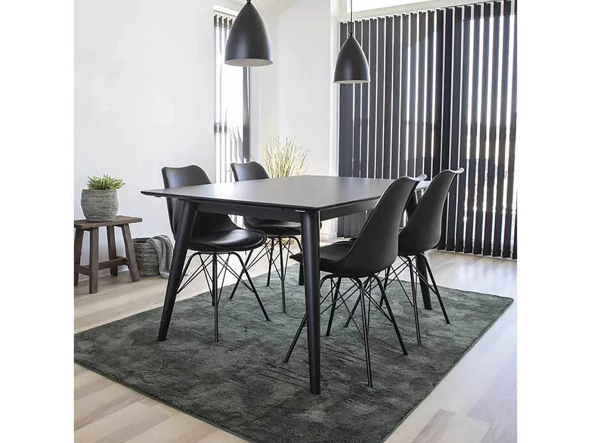 HAGA - Lot de 2 Chaises Noires avec Piétement Métallique