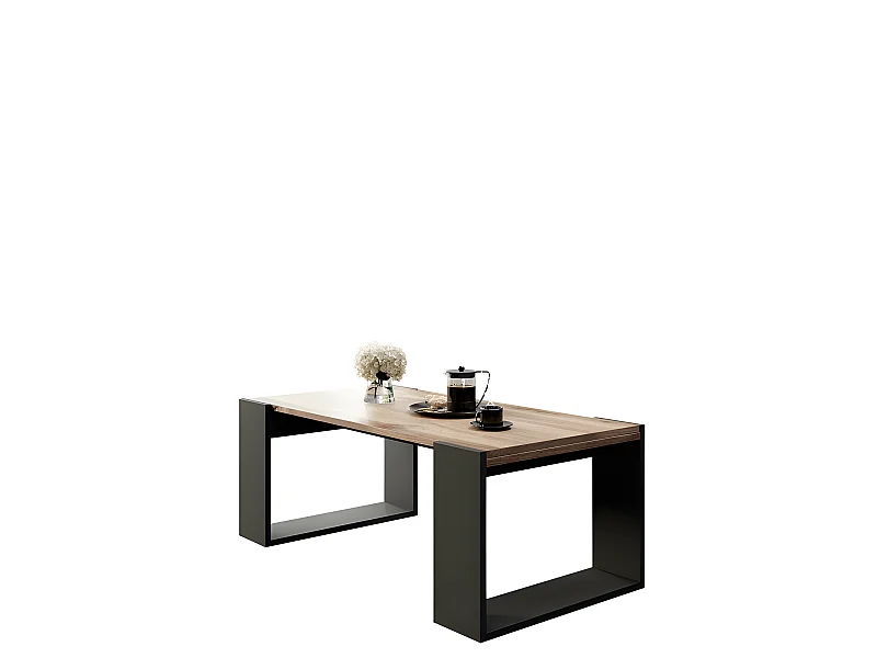 Table basse 120x55cm WOODY couleur  Wotan design moderne de haute qualité