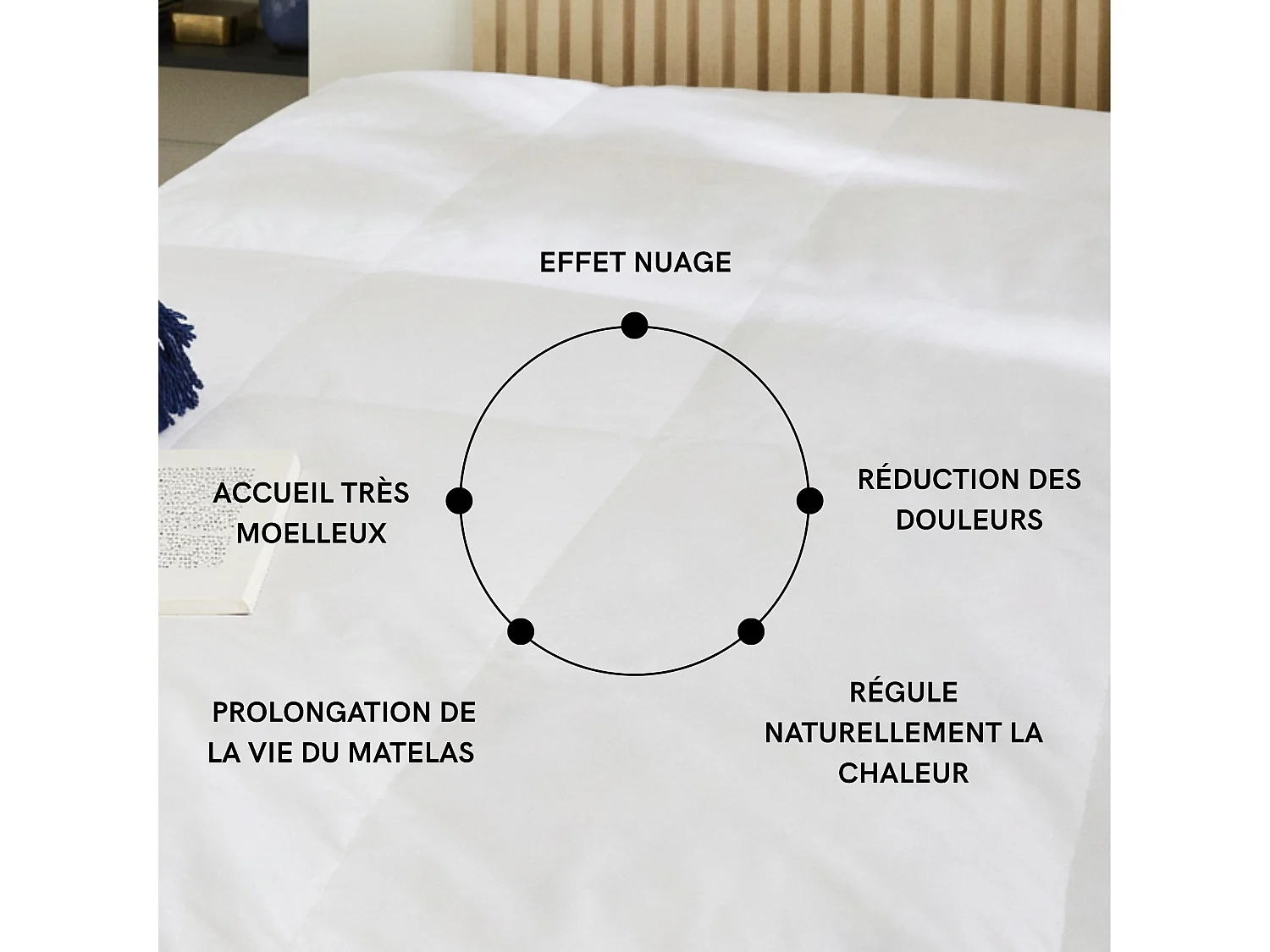 Surmatelas duvet et plumes de canard 200x200 Someo Rêve