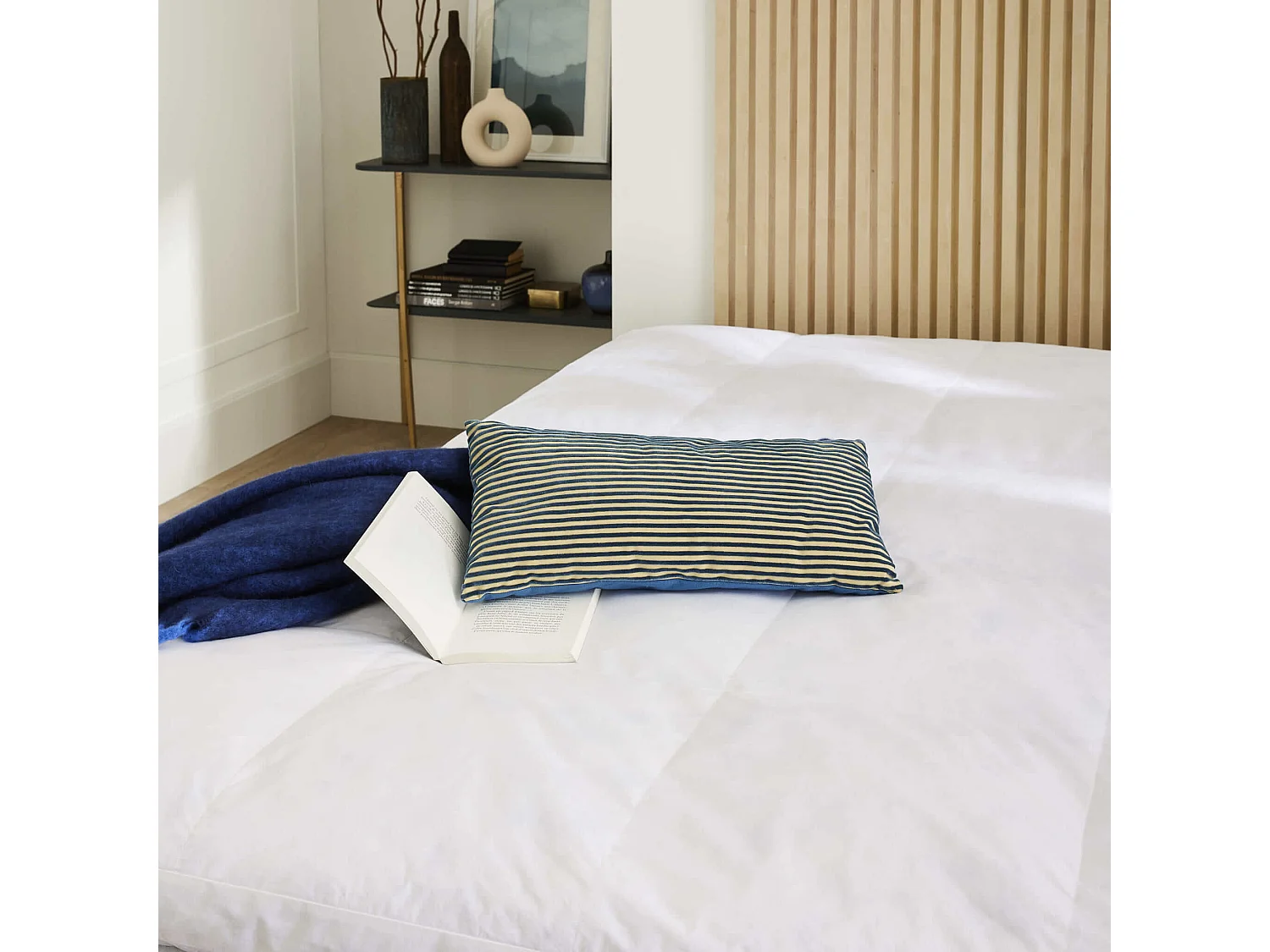 Surmatelas duvet et plumes de canard 140x200 Someo Rêve