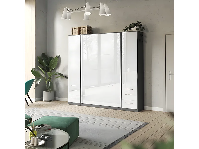 Lit escamotable +2 Placards Vertical 140x200+(50x2)cm Lit Rabattable Lit Mural Standard Anthracite/blanc brillant