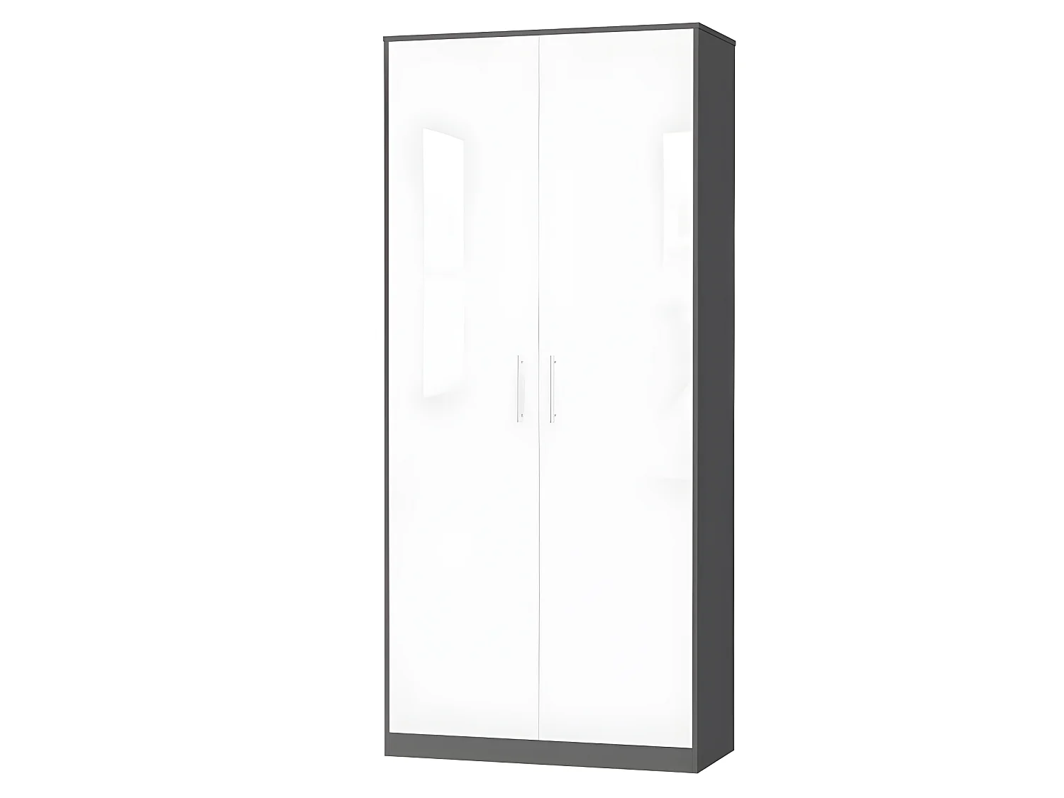 Lit escamotable +2 Placards Vertical 90x200+(100x2)cm Lit Rabattable Lit Mural Standard Anthracite/blanc brillant