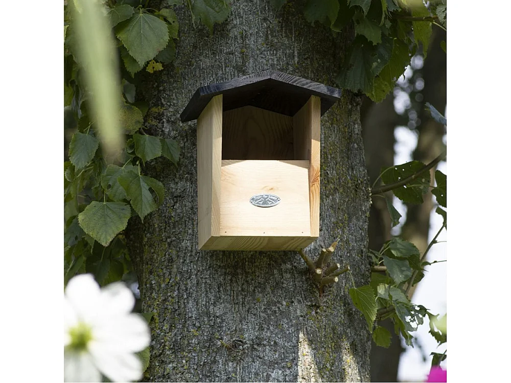 Rotkehlchen-Nistkasten aus Fichte