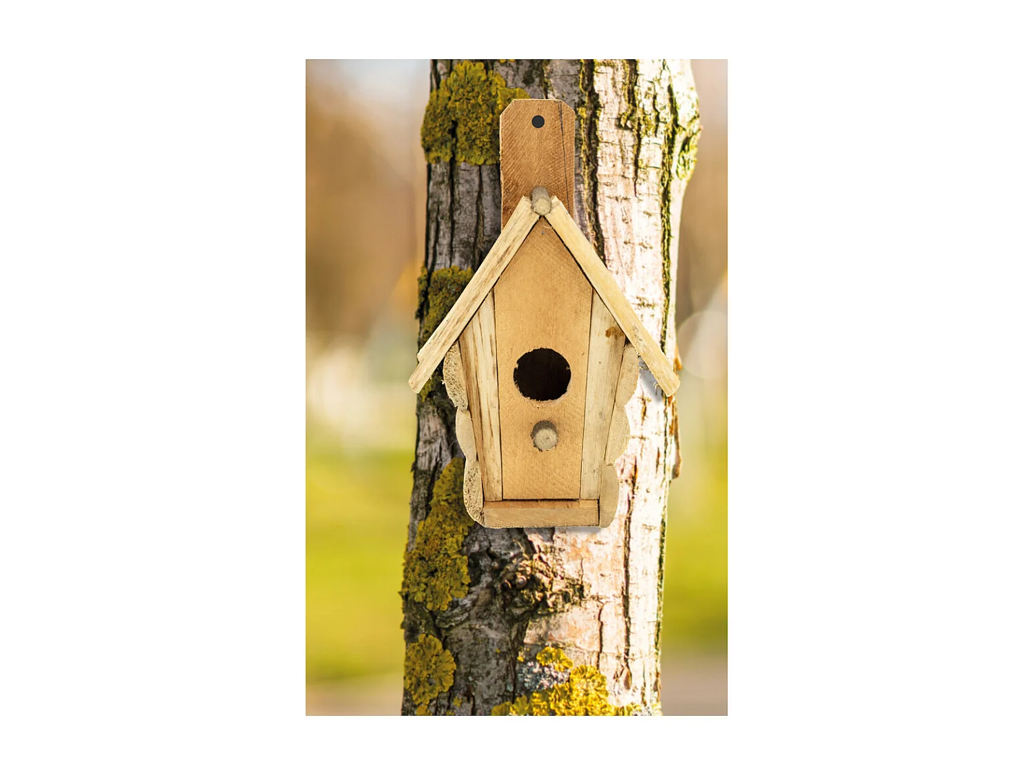 Nichoir en bois pour fixation murale Marguerite