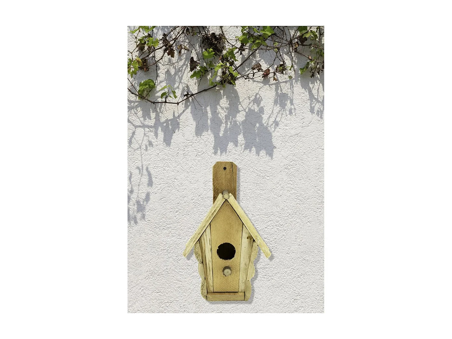 Nichoir en bois pour fixation murale Marguerite