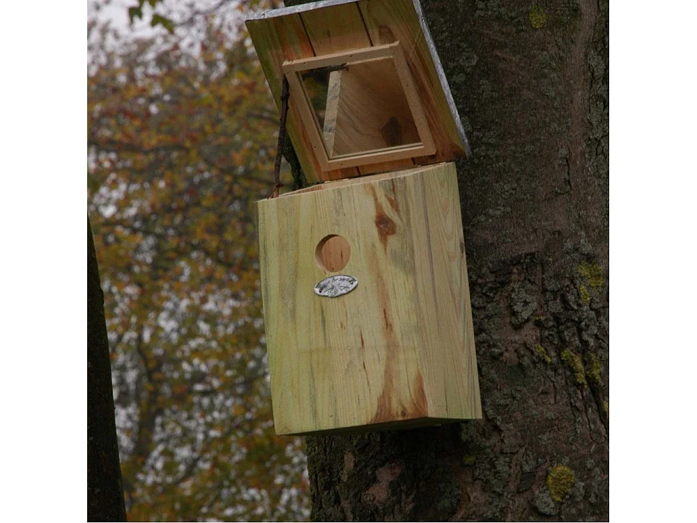 Nichoir mésange bois et zinc