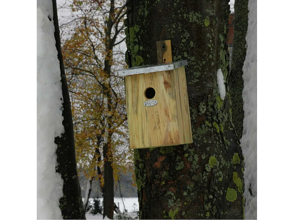 Nichoir mésange bois et zinc